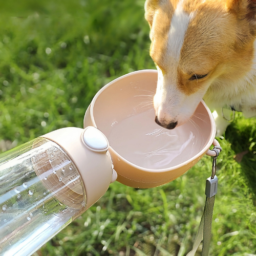 Gourde 2 en 1 - Réservoir d'eau et friandises pour chien
